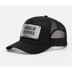 I'm King Of The World Aluminium John Hatter & Co