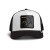 Deadly Scorpion Black White Goorin Bros