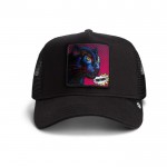 POPArt Panther Black Goorin Bros