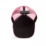 POPArt Queen Lion Pink Goorin Bros