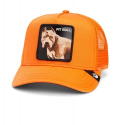 The Dog Pitbull Orange Goorin Bros